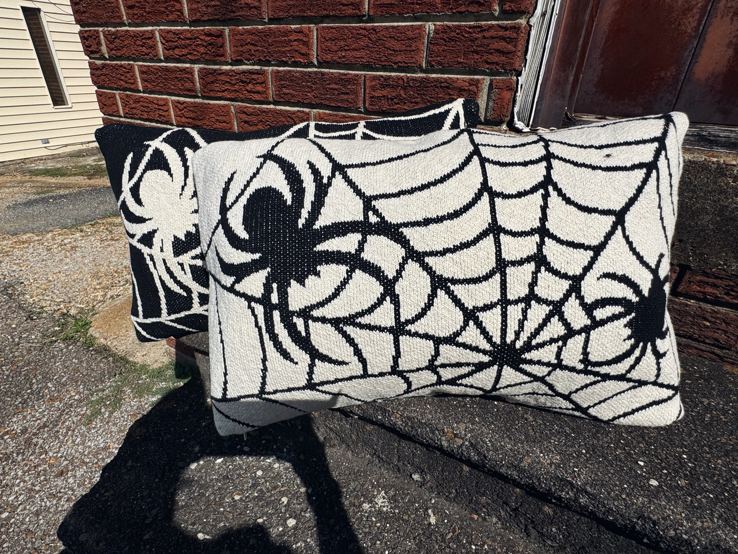 Reversible Spider Web Pillow